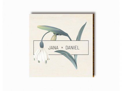 svatebni magnet s bleduli