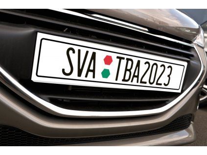 svatebni spz svatba 2020