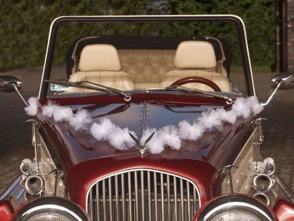 tylova serpa na kapotu