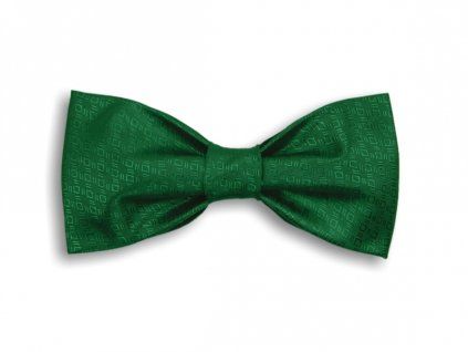 2977 zeleny tkany motylek