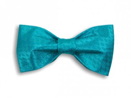 2976 tyrkysovy tkany motylek