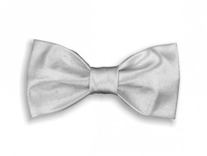 2963 stribrny motylek