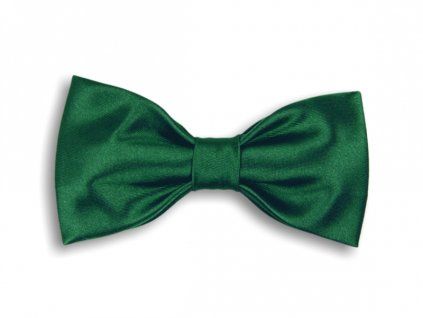 2961 tmave zeleny motylek