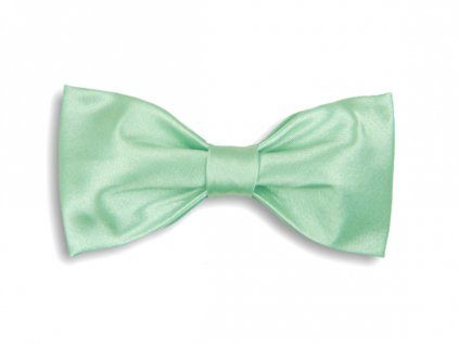 2959 svetle zeleny motylek