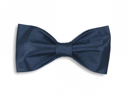 2958 tmave modry motylek