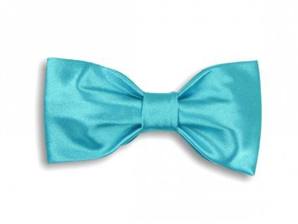 2955 tyrkysovy motylek