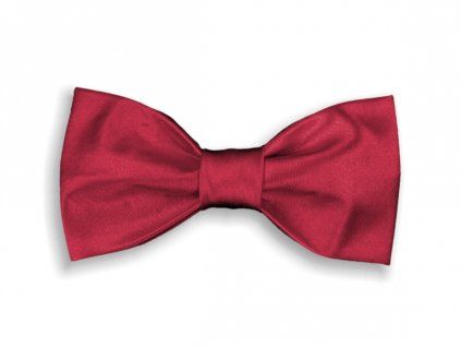 2951 cerveny motylek