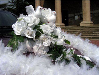 2363 sada na auto holubicky