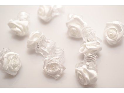 2013 skripce s ruzickou bile