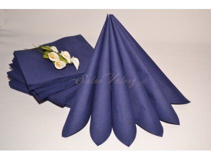 881 dvouvrstve ubrousky modra