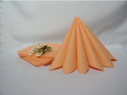 336 dvouvrstvy ubrousek lososova