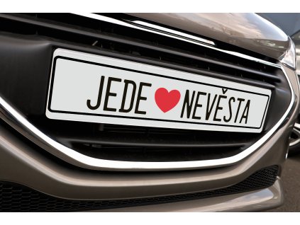 SPZ simple nev zen02