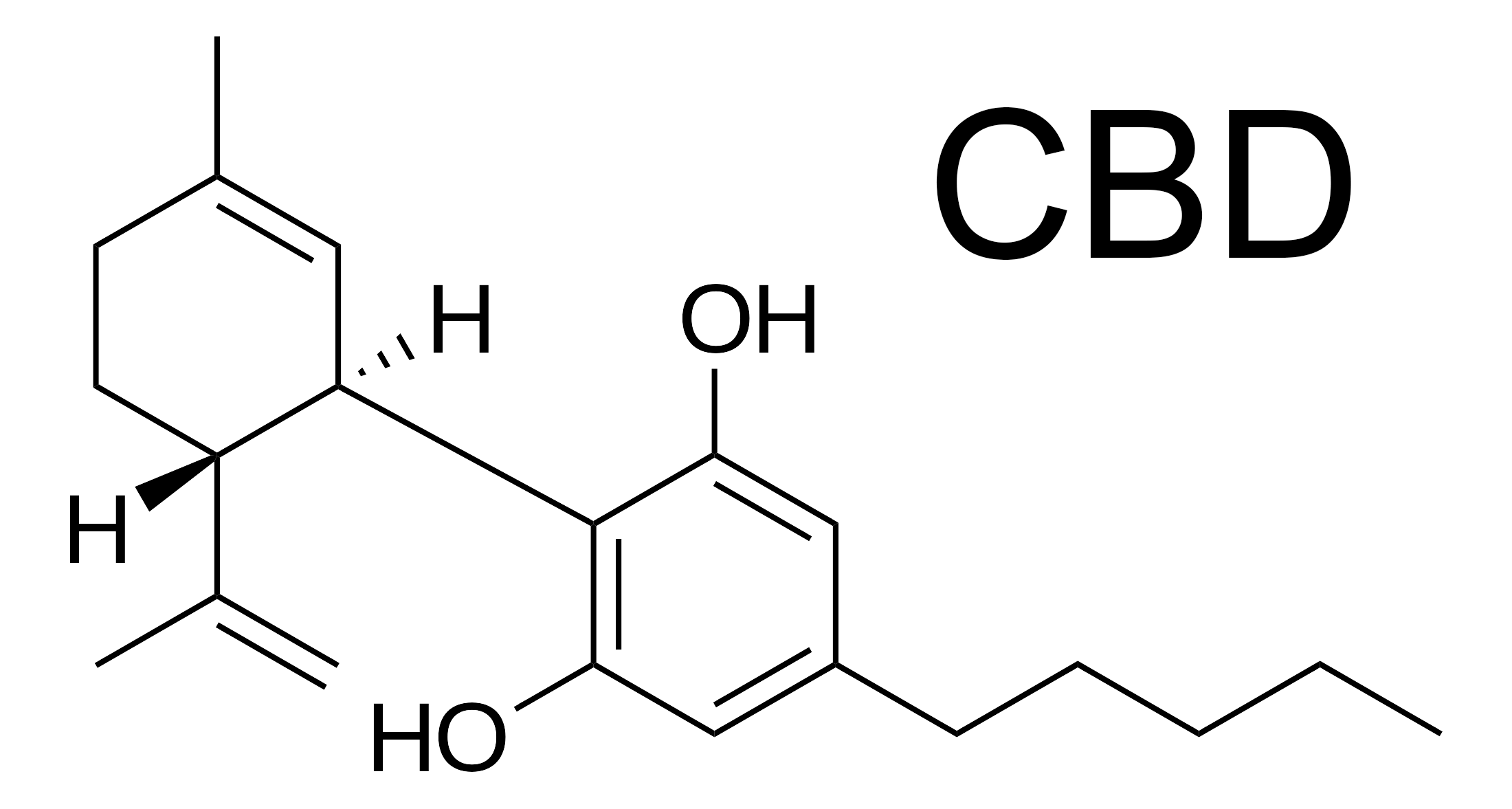 Vše, co jste chtěli vědět o CBD (a báli jste se zeptat)