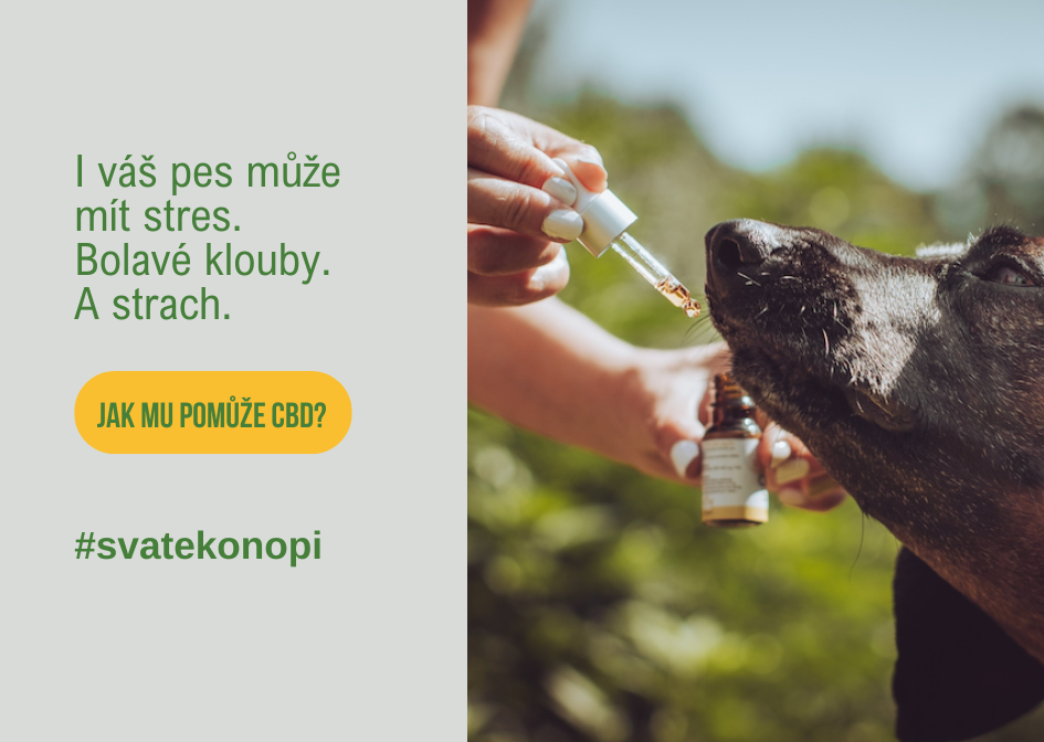 CBD kapky pro psy