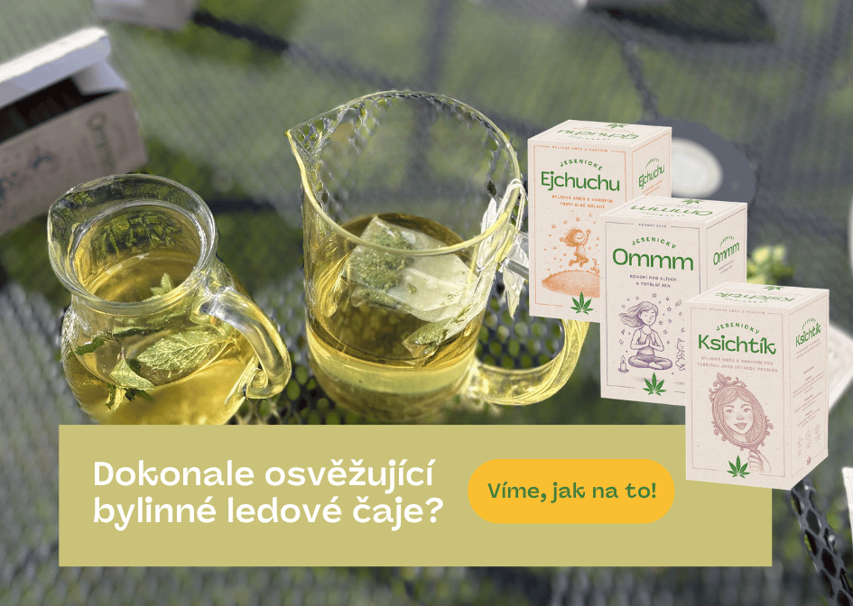 Ledové čaje Svatý Sedláček