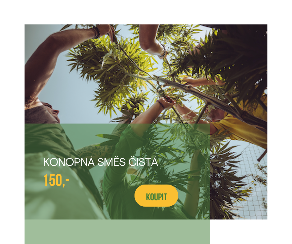 Konopna_smes_cista