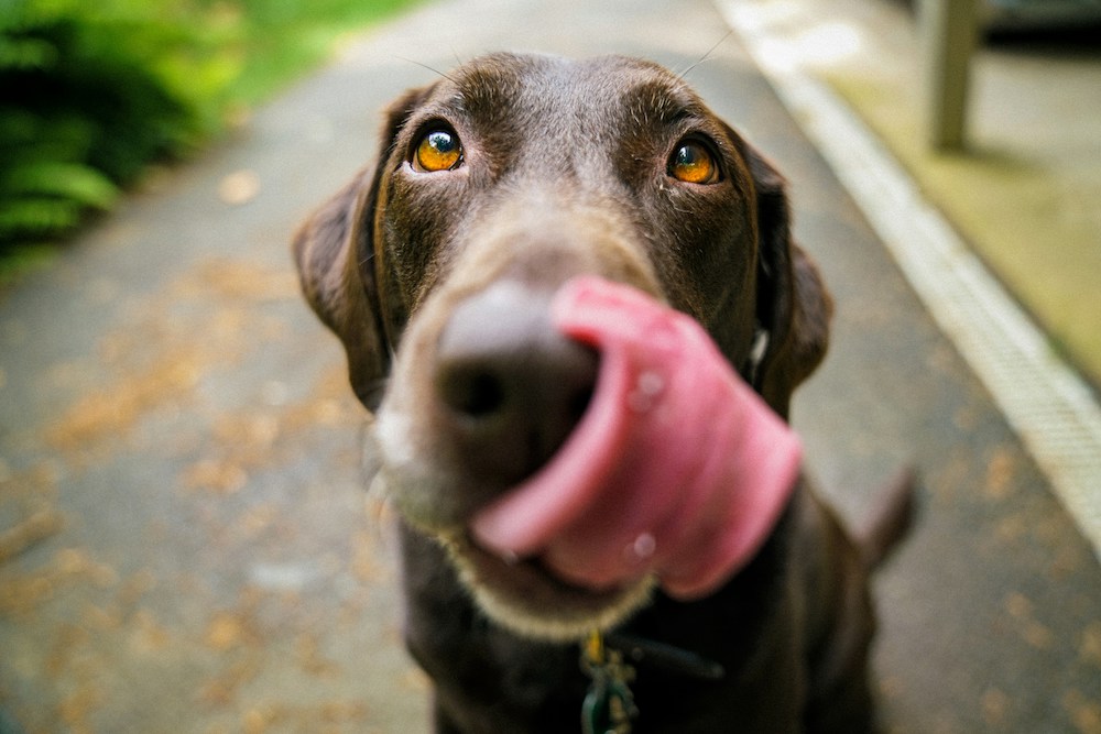 james-barker_unsplash