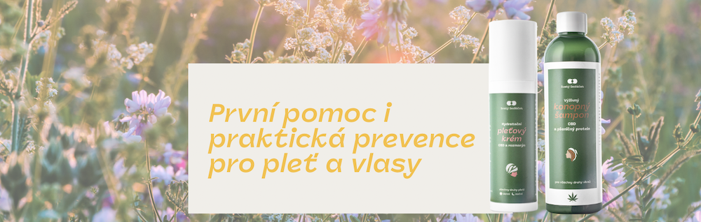 pro_plet_svaty_sedlacek_1