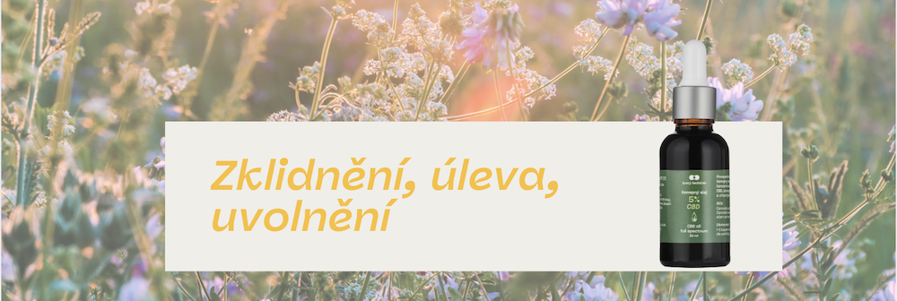 zklidneni_CBD_blog