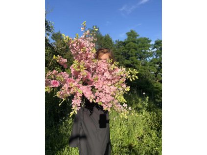 d3a04659 73e6 4536 93d1 0f2cbdec2db0