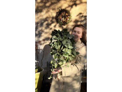 91b57451 9a7e 4f08 a8b9 dd642320a282