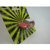 Mini Cooper New Red White 1:72 Blistr Cararama Abrex