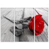 červená růže Obraz třídílný 70 x 50 cm