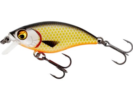 Westin Wobler BuzzBite SR Crankbait 4cm 4g Plovoucí Official Roach