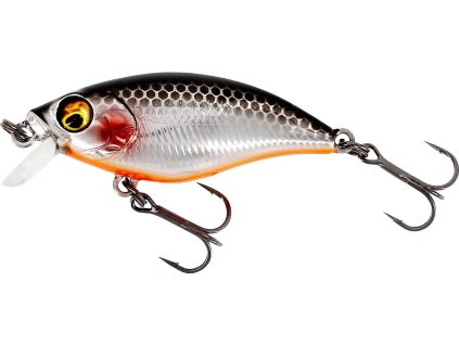 Westin Wobler BuzzBite SR Crankbait 4cm 4g Plovoucí Steel Sardine