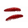 Larva 021 RED