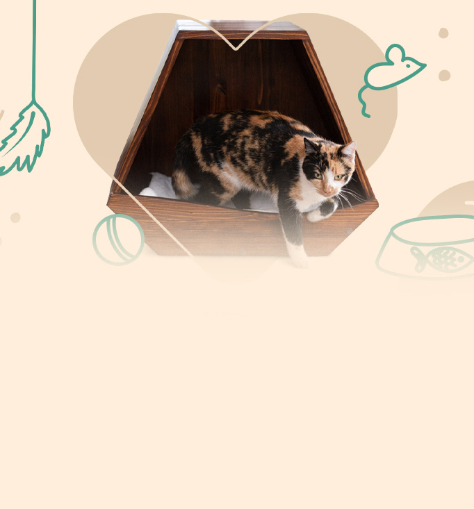 Stylové a pohodlné pelíšky