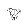1polygon pes