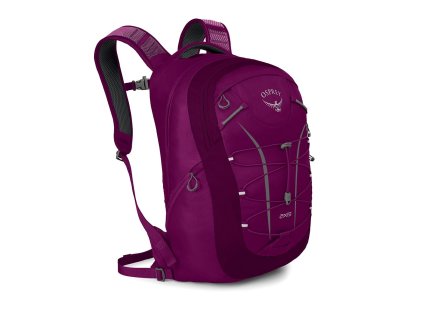 axis f18 side eggplant purple 1