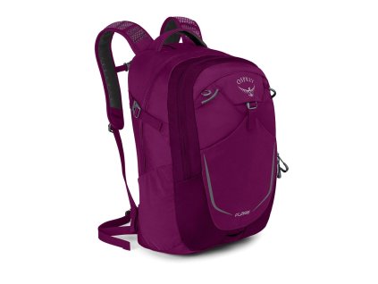 flare 22 f18 side eggplant purple 1