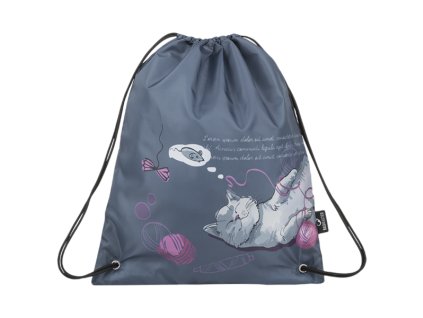 Bagmaster_SHOES_GALAXY_9_A_GRAY/VIOLET
