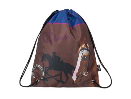 Bagmaster_SHOES_GALAXY_9_B_BLUE/BROWN/PINK