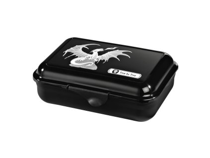 163706 krabicka na svacinu step by step drak