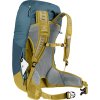 227817 1 deuter ac lite 30 arctic turmeric