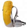 247467 4 deuter ac lite 22 sl curry pepper