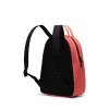 Herschel Nova Small - Porcelain Rose14l