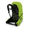 Osprey TALON 26 III limon green