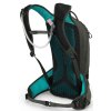 Osprey RAPTOR 10 II cedar green