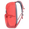 Deuter Walker 20 currant-redwood