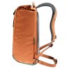 Deuter Step Out 22 chestnut-ivy