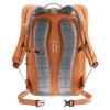 Deuter Step Out 22 chestnut-ivy