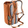 Deuter Step Out 22 chestnut-ivy