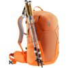 deuter Futura 27 chestnut-mandarine
