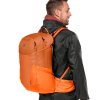 deuter Futura 27 chestnut-mandarine