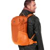 deuter Futura 23 chestnut-mandarine