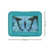 BAAGL Box na desiatu Butterfly